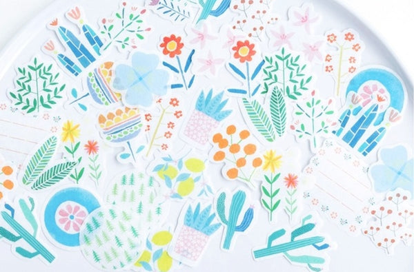 Beautiful Life Plants Cactus Deco Stickers Pack