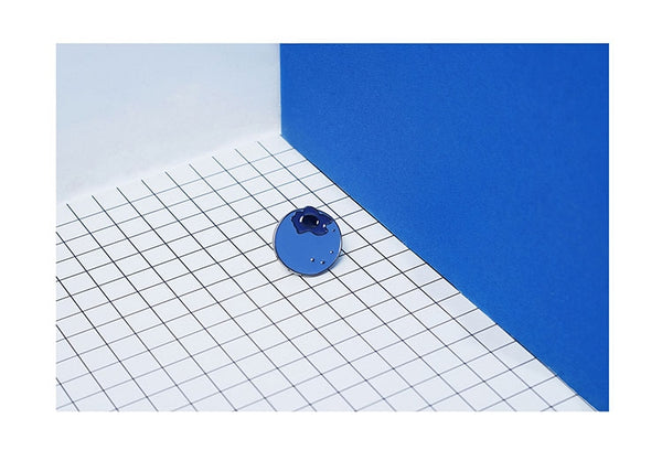 Fruit Blueberry Pin By 小野 Xaoye