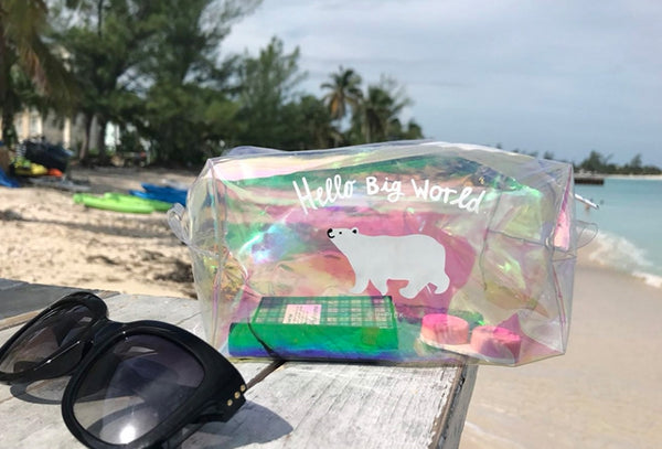 Transparent Box Polar Bear World Pouch By U-Pick